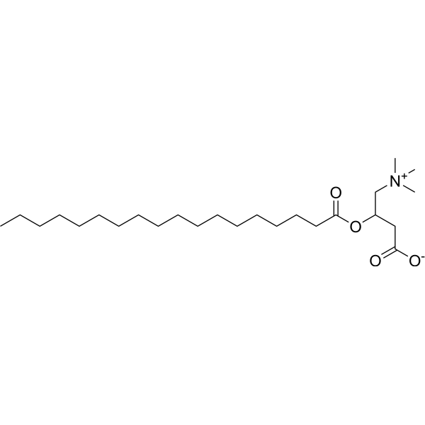 DL-Stearoylcarnitine 1976-27-8